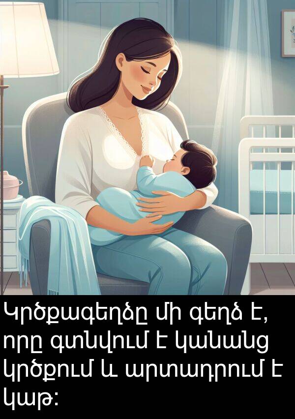 գտնվում: Կրծքագեղձը մի գեղձ է, որը գտնվում է կանանց կրծքում և արտադրում է կաթ: