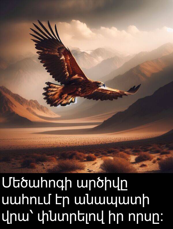 արծիվը: Մեծահոգի արծիվը սահում էր անապատի վրա՝ փնտրելով իր որսը։