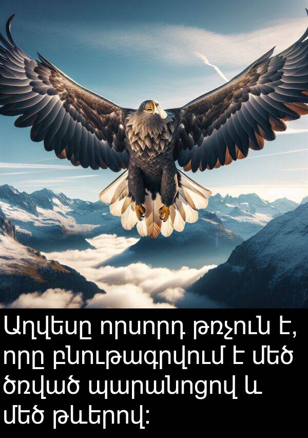 բնութագրվում: Աղվեսը որսորդ թռչուն է, որը բնութագրվում է մեծ ծռված պարանոցով և մեծ թևերով: