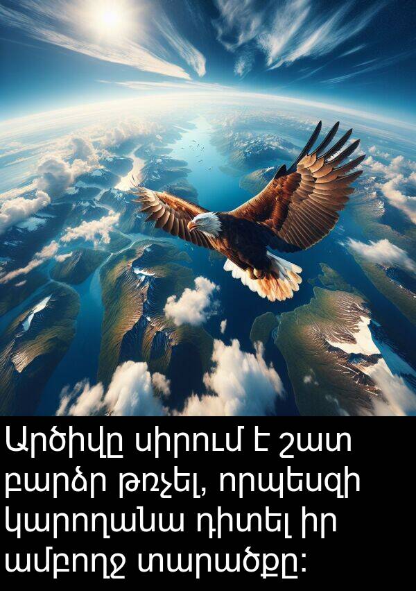 տարածքը։: Արծիվը սիրում է շատ բարձր թռչել, որպեսզի կարողանա դիտել իր ամբողջ տարածքը։