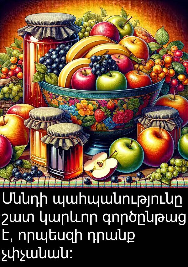 դրանք: Սննդի պահպանությունը շատ կարևոր գործընթաց է, որպեսզի դրանք չփչանան։