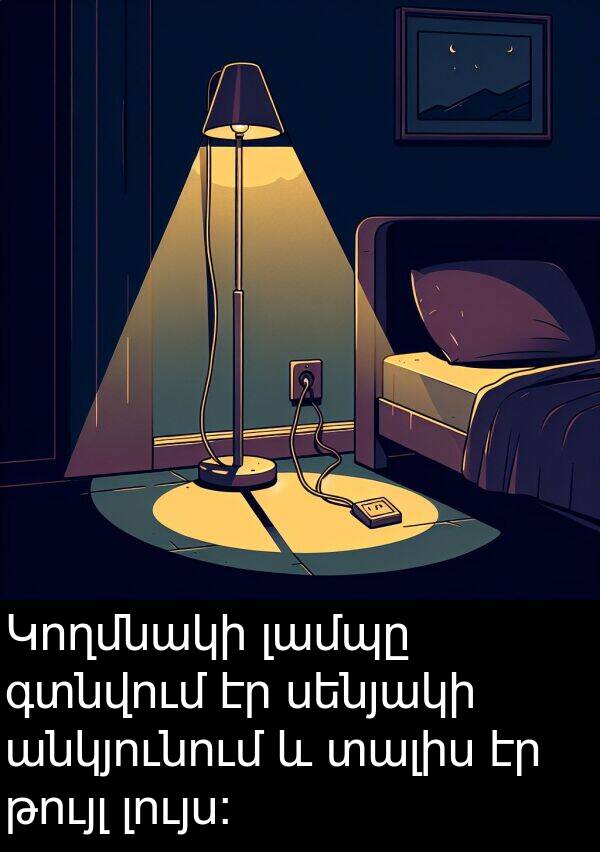 գտնվում: Կողմնակի լամպը գտնվում էր սենյակի անկյունում և տալիս էր թույլ լույս: