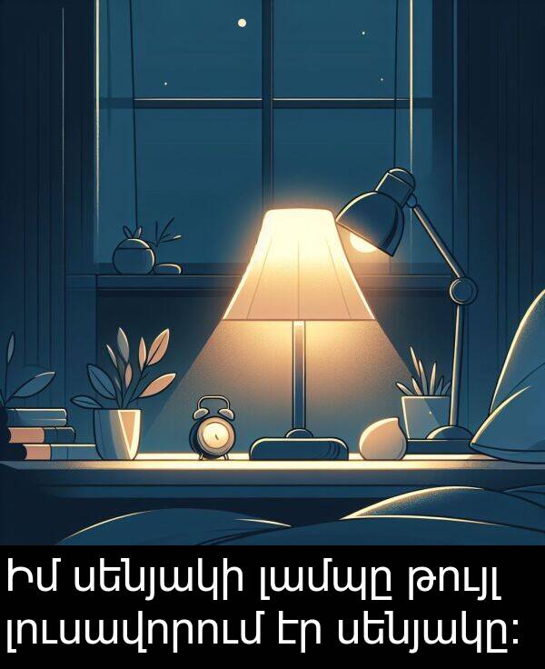 սենյակի: Իմ սենյակի լամպը թույլ լուսավորում էր սենյակը։