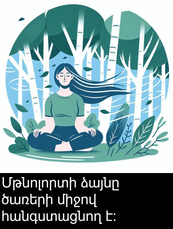 ծառերի: Մթնոլորտի ձայնը ծառերի միջով հանգստացնող է: