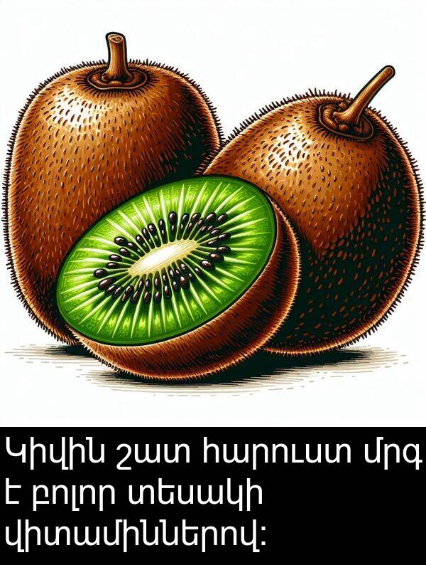 բոլոր: Կիվին շատ հարուստ մրգ է բոլոր տեսակի վիտամիններով: