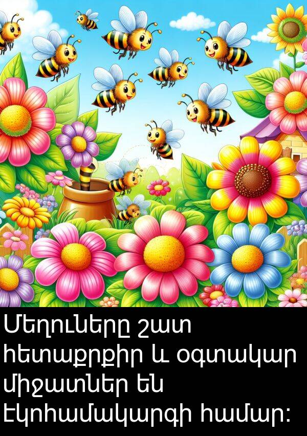 օգտակար: Մեղուները շատ հետաքրքիր և օգտակար միջատներ են էկոհամակարգի համար։