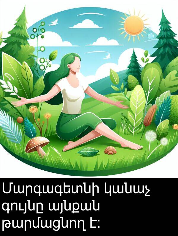 գույնը: Մարգագետնի կանաչ գույնը այնքան թարմացնող է: