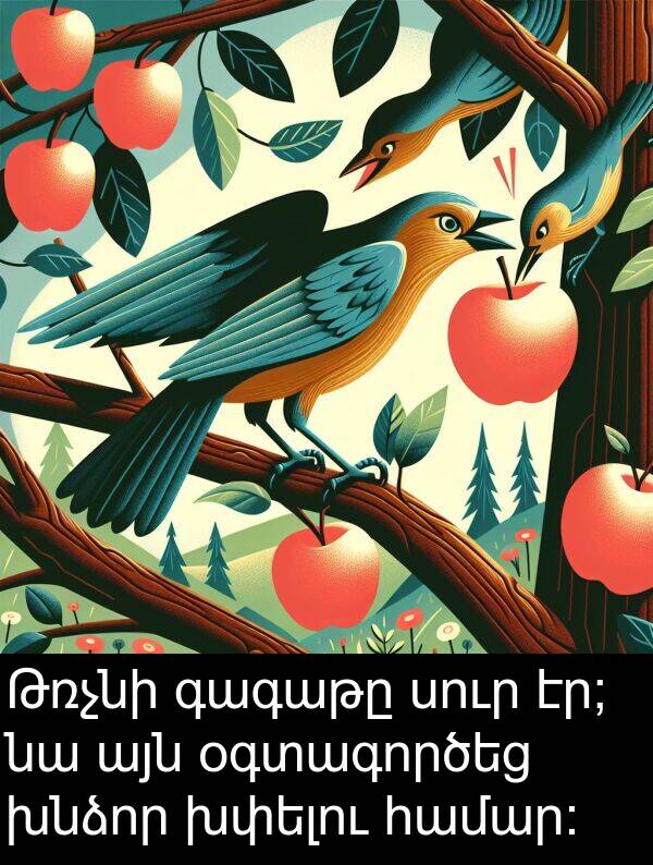 օգտագործեց: Թռչնի գագաթը սուր էր; նա այն օգտագործեց խնձոր խփելու համար: