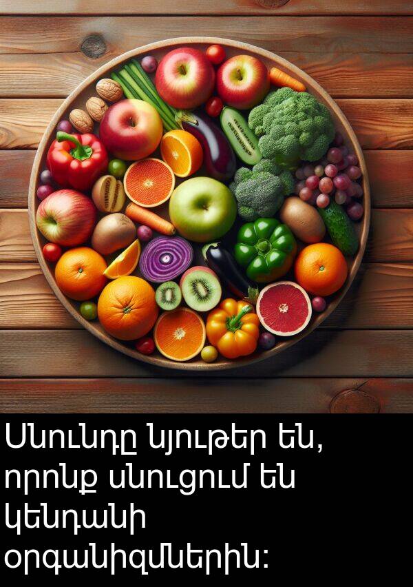 որոնք: Սնունդը նյութեր են, որոնք սնուցում են կենդանի օրգանիզմներին: