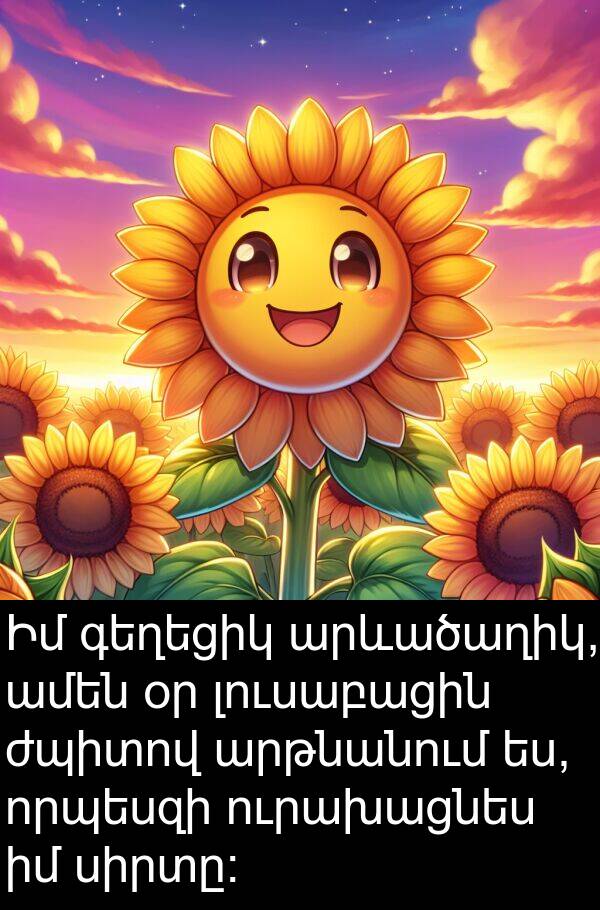 սիրտը։: Իմ գեղեցիկ արևածաղիկ, ամեն օր լուսաբացին ժպիտով արթնանում ես, որպեսզի ուրախացնես իմ սիրտը։