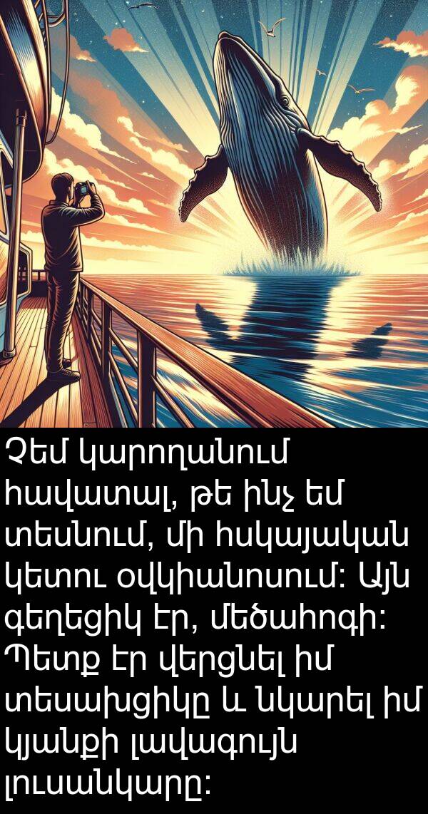 օվկիանոսում: Չեմ կարողանում հավատալ, թե ինչ եմ տեսնում, մի հսկայական կետու օվկիանոսում: Այն գեղեցիկ էր, մեծահոգի: Պետք էր վերցնել իմ տեսախցիկը և նկարել իմ կյանքի լավագույն լուսանկարը: