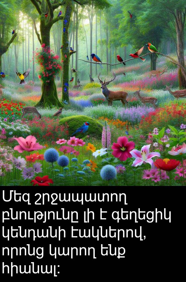 բնությունը: Մեզ շրջապատող բնությունը լի է գեղեցիկ կենդանի էակներով, որոնց կարող ենք հիանալ: