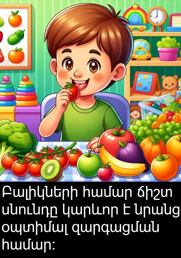 զարգացման: Բալիկների համար ճիշտ սնունդը կարևոր է նրանց օպտիմալ զարգացման համար: