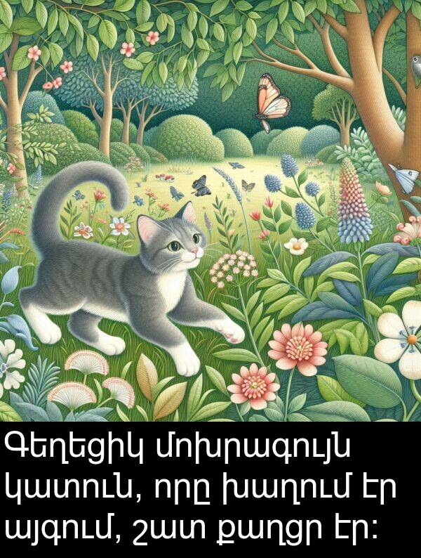 քաղցր: Գեղեցիկ մոխրագույն կատուն, որը խաղում էր այգում, շատ քաղցր էր։