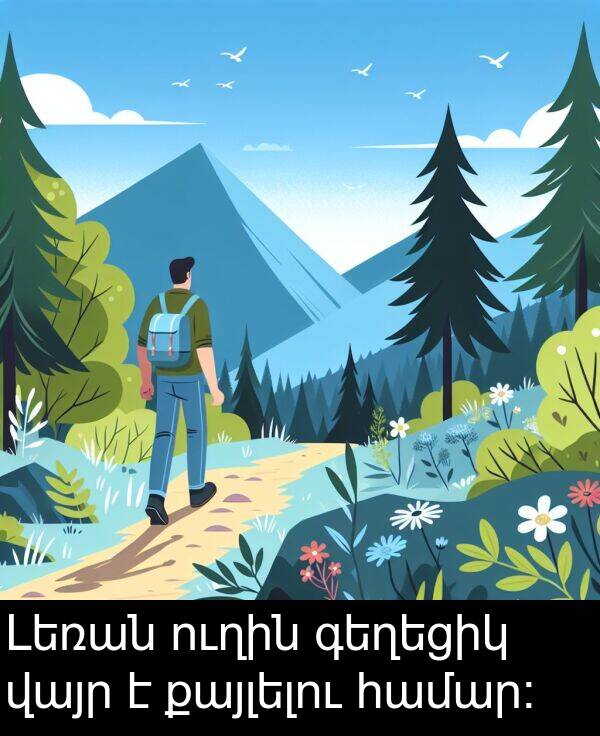 ուղին: Լեռան ուղին գեղեցիկ վայր է քայլելու համար։