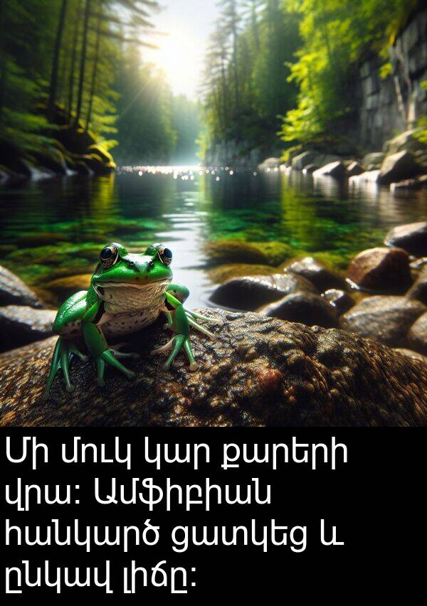 քարերի: Մի մուկ կար քարերի վրա։ Ամֆիբիան հանկարծ ցատկեց և ընկավ լիճը։