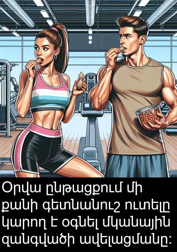օգնել: Օրվա ընթացքում մի քանի գետնանուշ ուտելը կարող է օգնել մկանային զանգվածի ավելացմանը։