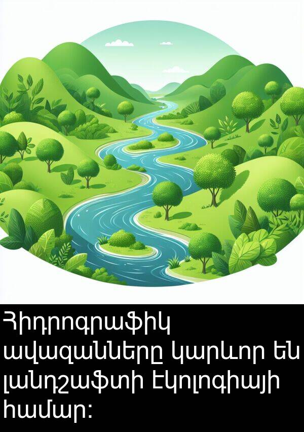 լանդշաֆտի: Հիդրոգրաֆիկ ավազանները կարևոր են լանդշաֆտի էկոլոգիայի համար: