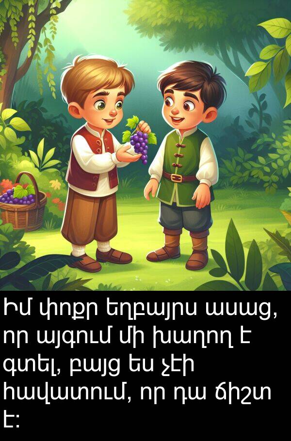 գտել: Իմ փոքր եղբայրս ասաց, որ այգում մի խաղող է գտել, բայց ես չէի հավատում, որ դա ճիշտ է։