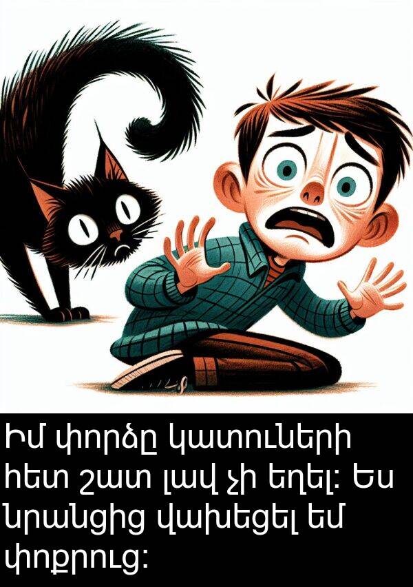 փորձը: Իմ փորձը կատուների հետ շատ լավ չի եղել։ Ես նրանցից վախեցել եմ փոքրուց։