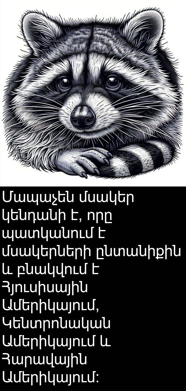 բնակվում: Մապաչեն մսակեր կենդանի է, որը պատկանում է մսակերների ընտանիքին և բնակվում է Հյուսիսային Ամերիկայում, Կենտրոնական Ամերիկայում և Հարավային Ամերիկայում: