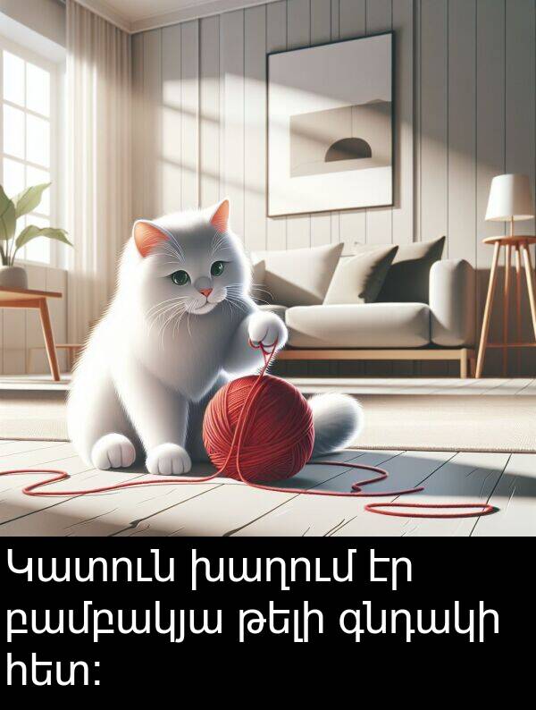 գնդակի: Կատուն խաղում էր բամբակյա թելի գնդակի հետ: