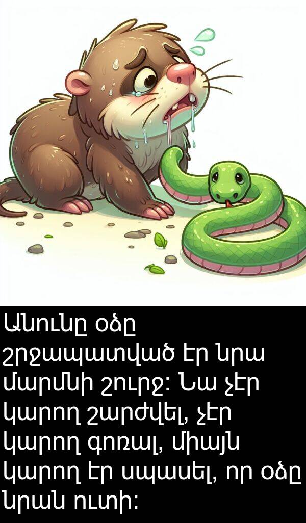 գոռալ: Անունը օձը շրջապատված էր նրա մարմնի շուրջ: Նա չէր կարող շարժվել, չէր կարող գոռալ, միայն կարող էր սպասել, որ օձը նրան ուտի: