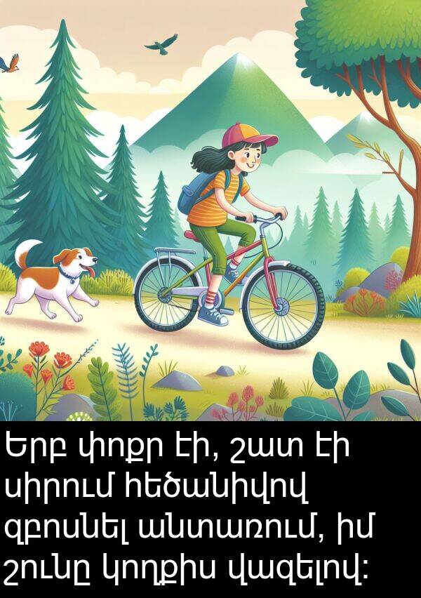 վազելով: Երբ փոքր էի, շատ էի սիրում հեծանիվով զբոսնել անտառում, իմ շունը կողքիս վազելով: