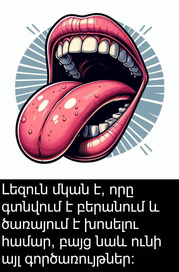 բերանում: Լեզուն մկան է, որը գտնվում է բերանում և ծառայում է խոսելու համար, բայց նաև ունի այլ գործառույթներ: