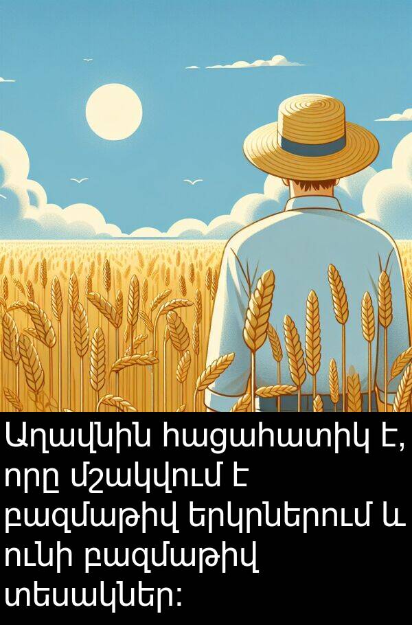 հացահատիկ: Աղավնին հացահատիկ է, որը մշակվում է բազմաթիվ երկրներում և ունի բազմաթիվ տեսակներ: