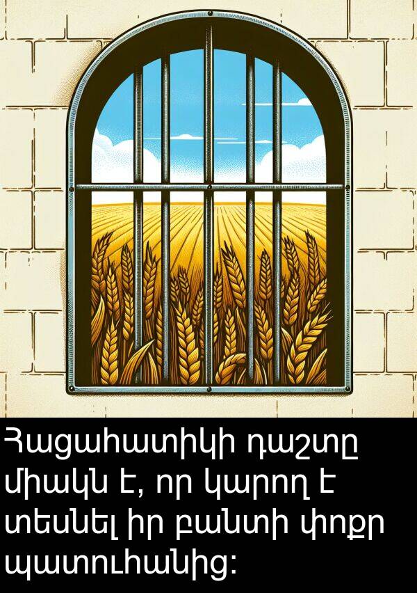 տեսնել: Հացահատիկի դաշտը միակն է, որ կարող է տեսնել իր բանտի փոքր պատուհանից:
