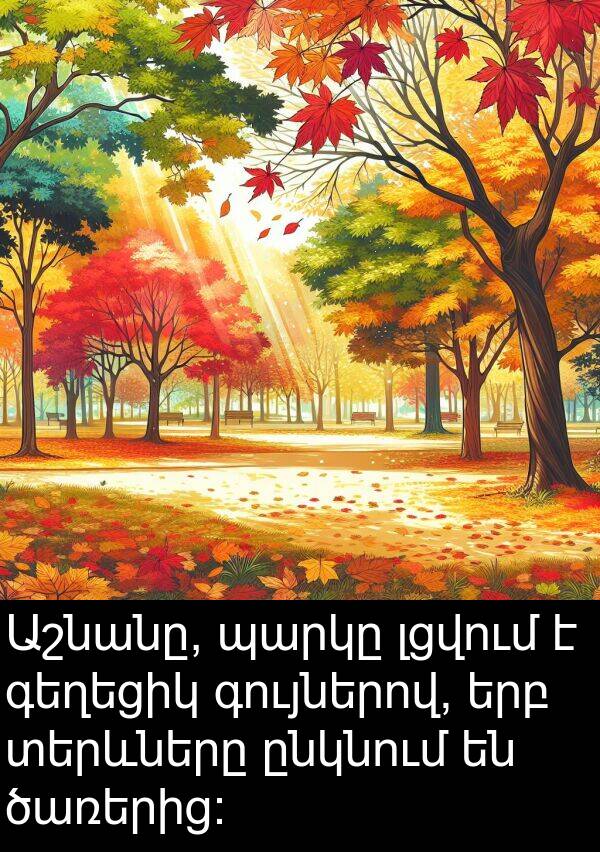 գույներով: Աշնանը, պարկը լցվում է գեղեցիկ գույներով, երբ տերևները ընկնում են ծառերից: