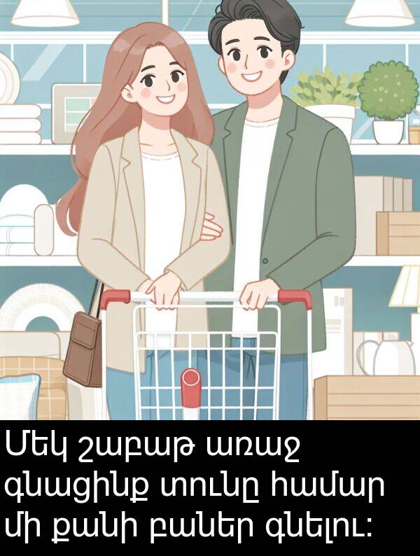 գնելու: Մեկ շաբաթ առաջ գնացինք տունը համար մի քանի բաներ գնելու: