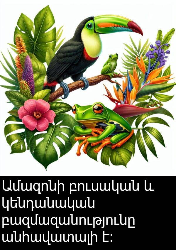 բուսական: Ամազոնի բուսական և կենդանական բազմազանությունը անհավատալի է։
