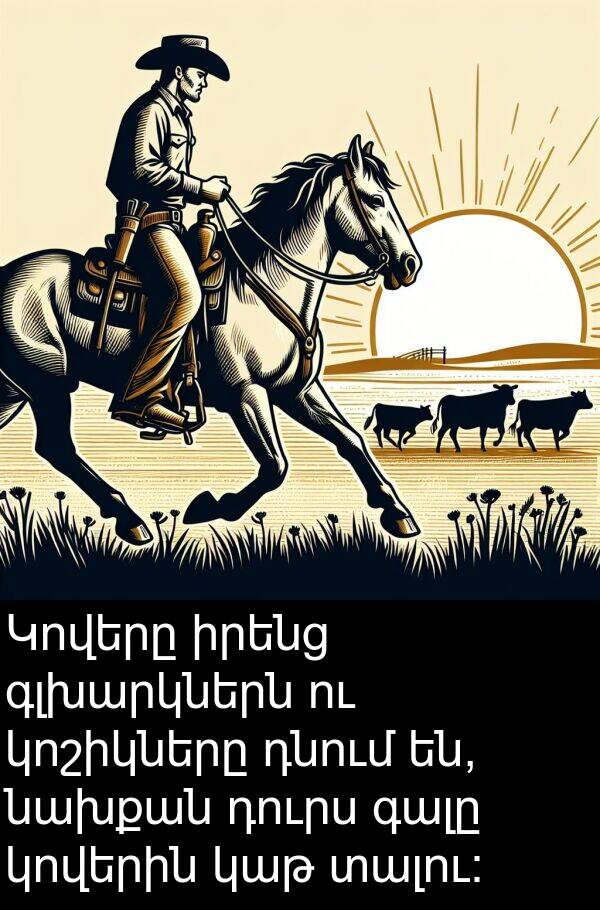 նախքան: Կովերը իրենց գլխարկներն ու կոշիկները դնում են, նախքան դուրս գալը կովերին կաթ տալու: