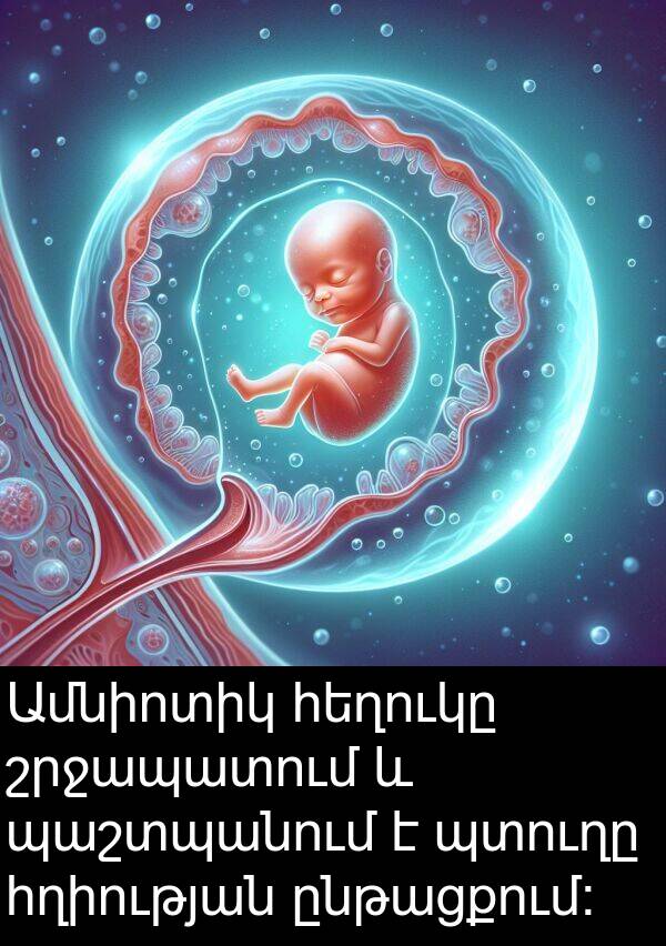 շրջապատում: Ամնիոտիկ հեղուկը շրջապատում և պաշտպանում է պտուղը հղիության ընթացքում: