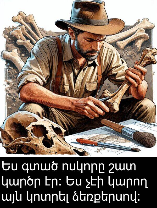 գտած: Ես գտած ոսկորը շատ կարծր էր։ Ես չէի կարող այն կոտրել ձեռքերսով։