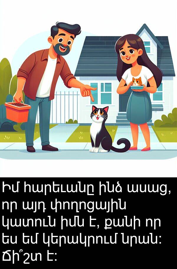 իմն: Իմ հարեւանը ինձ ասաց, որ այդ փողոցային կատուն իմն է, քանի որ ես եմ կերակրում նրան։ Ճի՞շտ է։
