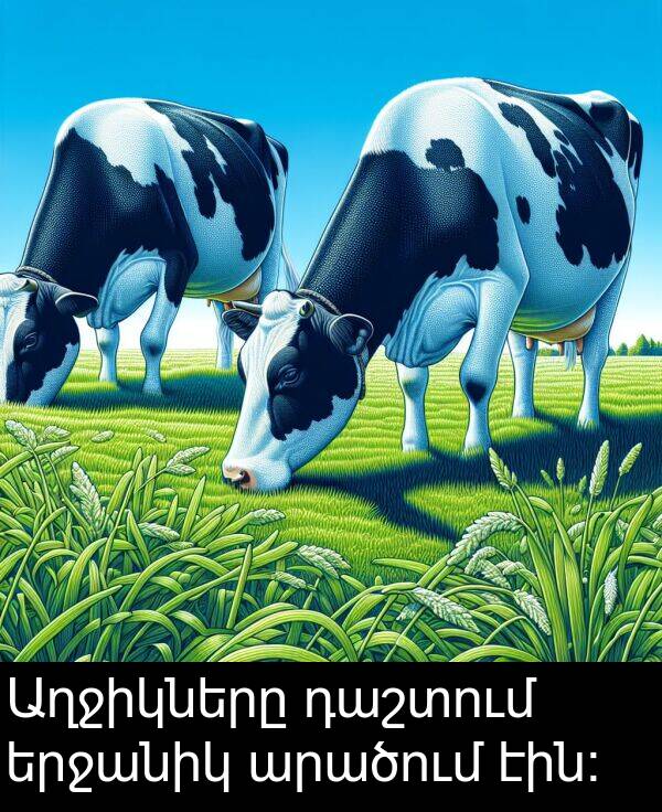արածում: Աղջիկները դաշտում երջանիկ արածում էին: