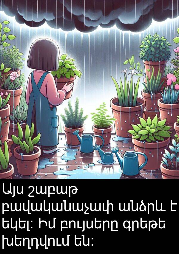բույսերը: Այս շաբաթ բավականաչափ անձրև է եկել։ Իմ բույսերը գրեթե խեղդվում են։