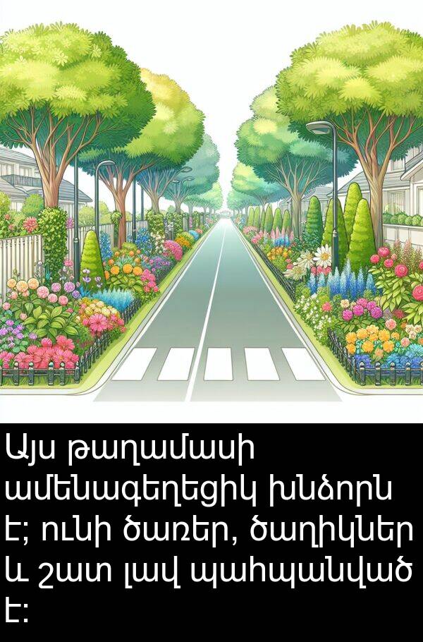 ամենագեղեցիկ: Այս թաղամասի ամենագեղեցիկ խնձորն է; ունի ծառեր, ծաղիկներ և շատ լավ պահպանված է: