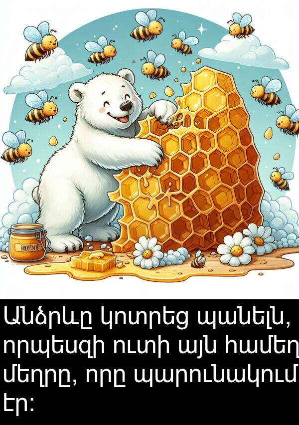պանելն: Անձրևը կոտրեց պանելն, որպեսզի ուտի այն համեղ մեղրը, որը պարունակում էր: