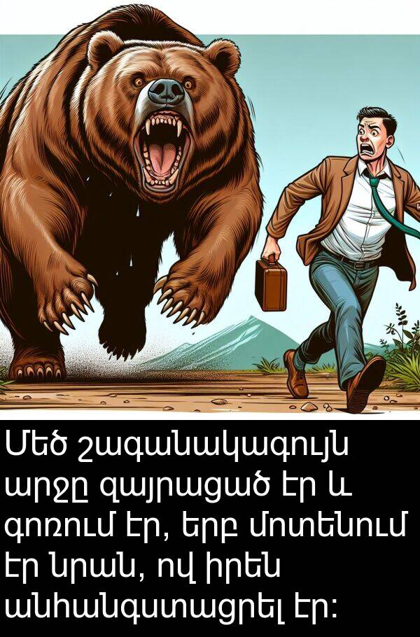 գոռում: Մեծ շագանակագույն արջը զայրացած էր և գոռում էր, երբ մոտենում էր նրան, ով իրեն անհանգստացրել էր: