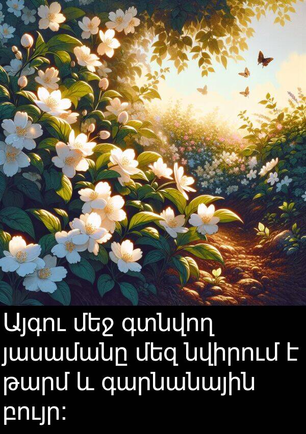 բույր։: Այգու մեջ գտնվող յասամանը մեզ նվիրում է թարմ և գարնանային բույր։