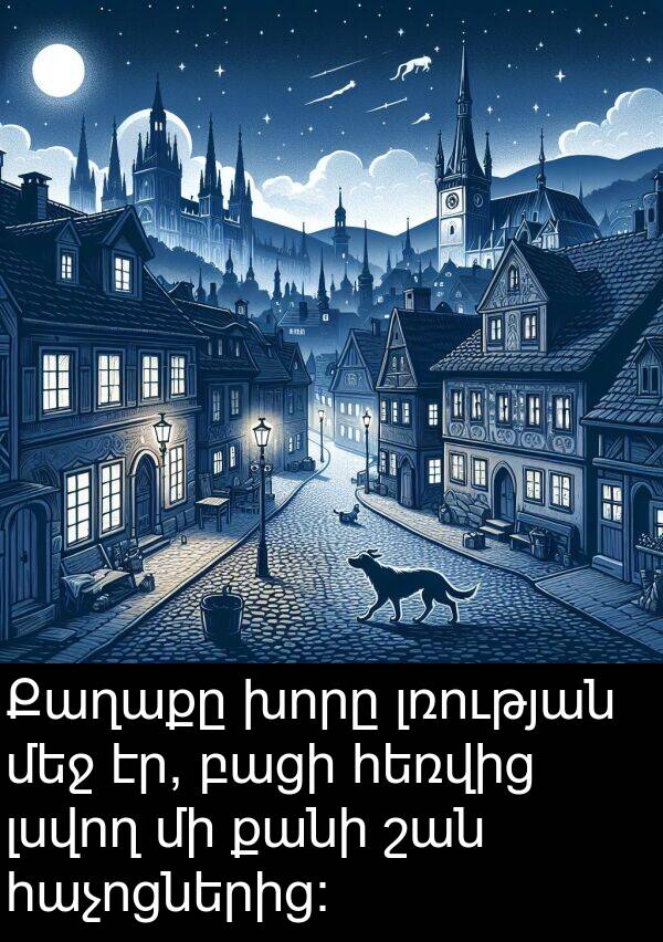 բացի: Քաղաքը խորը լռության մեջ էր, բացի հեռվից լսվող մի քանի շան հաչոցներից:
