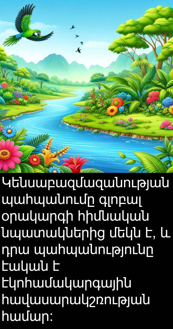պահպանությունը: Կենսաբազմազանության պահպանումը գլոբալ օրակարգի հիմնական նպատակներից մեկն է, և դրա պահպանությունը էական է էկոհամակարգային հավասարակշռության համար: