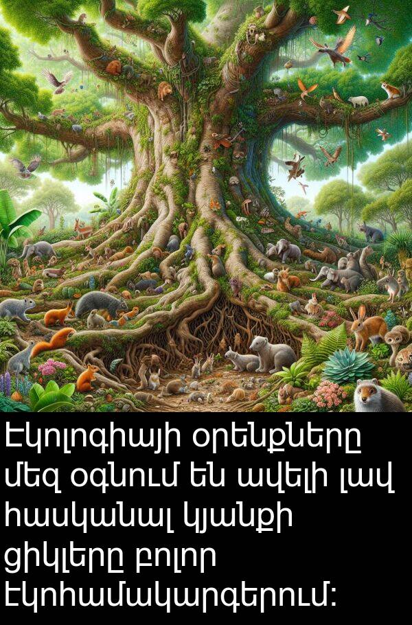 ցիկլերը: Էկոլոգիայի օրենքները մեզ օգնում են ավելի լավ հասկանալ կյանքի ցիկլերը բոլոր էկոհամակարգերում: