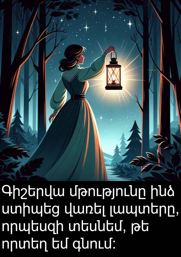 գնում: Գիշերվա մթությունը ինձ ստիպեց վառել լապտերը, որպեսզի տեսնեմ, թե որտեղ եմ գնում: