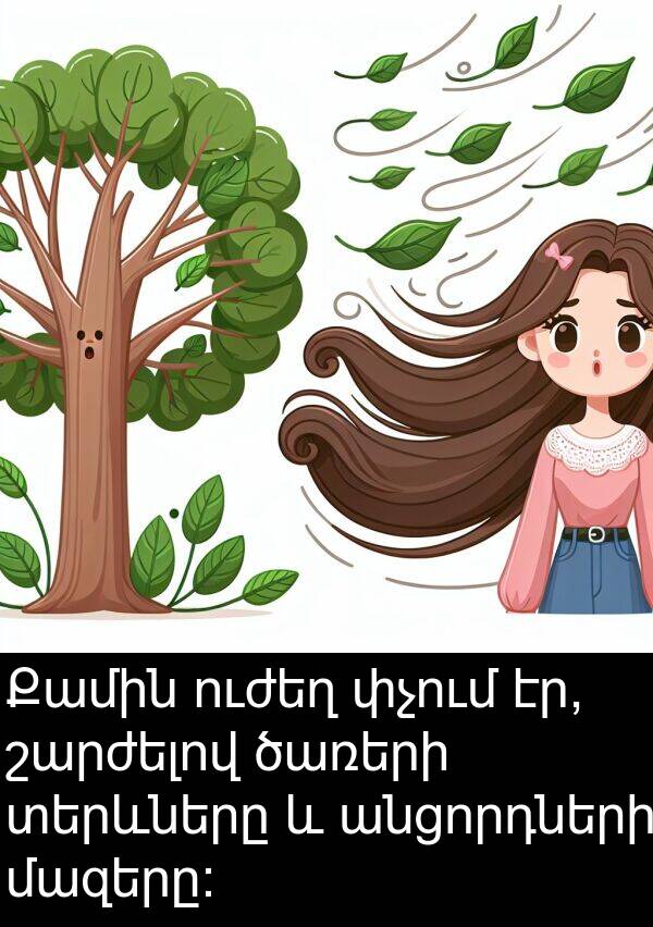 մազերը: Քամին ուժեղ փչում էր, շարժելով ծառերի տերևները և անցորդների մազերը: