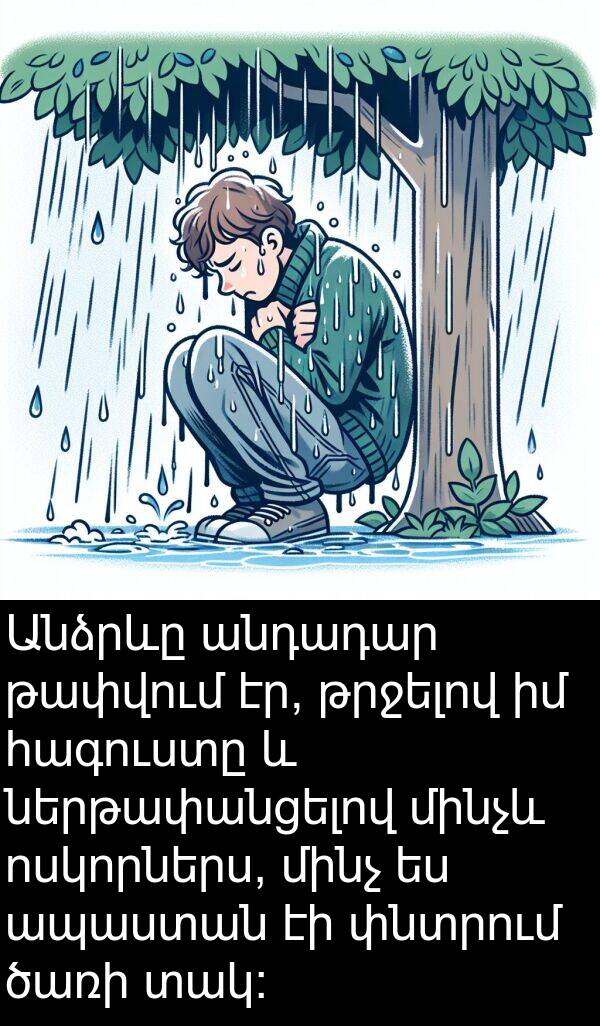 տակ: Անձրևը անդադար թափվում էր, թրջելով իմ հագուստը և ներթափանցելով մինչև ոսկորներս, մինչ ես ապաստան էի փնտրում ծառի տակ: